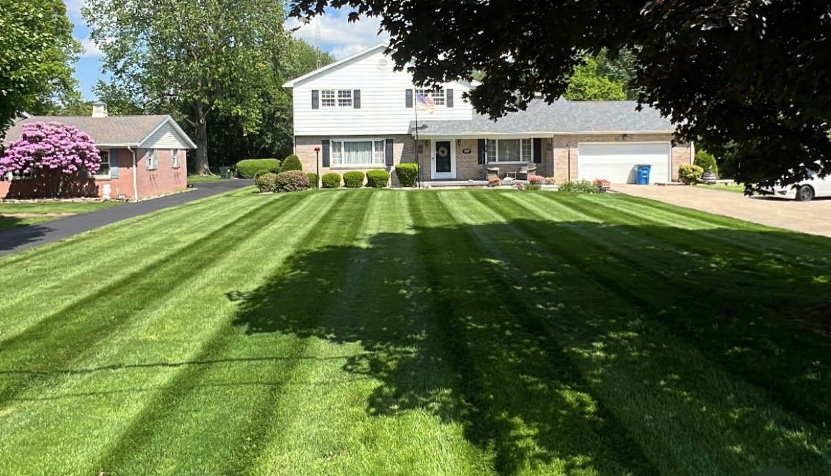 Freshly striped residential lawn